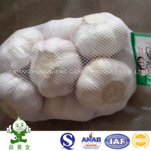 5,0 cm d&#39;ail blanc normal en provenance de Chine